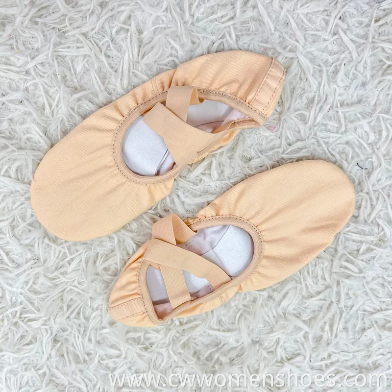 Premium Ballet Dance Slippers for Women and Girls Performance